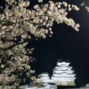 ヒメ日記 2025/04/09 13:18 投稿 川池江里奈 五十路マダムエクスプレス神戸店(カサブランカグループ)