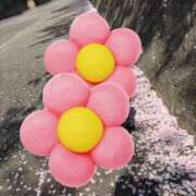 ヒメ日記 2025/04/14 20:38 投稿 川池江里奈 五十路マダムエクスプレス神戸店(カサブランカグループ)