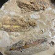 ヒメ日記 2025/04/21 12:34 投稿 川池江里奈 五十路マダムエクスプレス神戸店(カサブランカグループ)