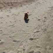 ヒメ日記 2025/05/05 18:44 投稿 川池江里奈 五十路マダムエクスプレス神戸店(カサブランカグループ)