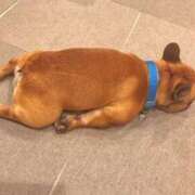 ヒメ日記 2025/05/17 11:24 投稿 川池江里奈 五十路マダムエクスプレス神戸店(カサブランカグループ)