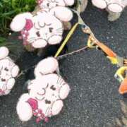 ヒメ日記 2025/05/20 17:02 投稿 川池江里奈 五十路マダムエクスプレス神戸店(カサブランカグループ)