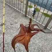 ヒメ日記 2025/05/28 16:28 投稿 川池江里奈 五十路マダムエクスプレス神戸店(カサブランカグループ)