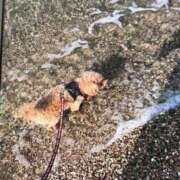 ヒメ日記 2025/06/30 17:46 投稿 川池江里奈 五十路マダムエクスプレス神戸店(カサブランカグループ)