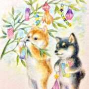 ヒメ日記 2025/07/05 06:20 投稿 川池江里奈 五十路マダムエクスプレス神戸店(カサブランカグループ)