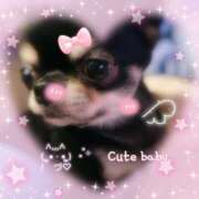 ヒメ日記 2025/08/07 09:36 投稿 川池江里奈 五十路マダムエクスプレス神戸店(カサブランカグループ)