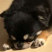 ヒメ日記 2025/08/28 09:18 投稿 川池江里奈 五十路マダムエクスプレス神戸店(カサブランカグループ)