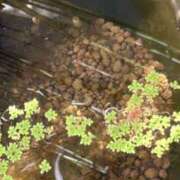 ヒメ日記 2025/09/24 05:20 投稿 川池江里奈 五十路マダムエクスプレス神戸店(カサブランカグループ)