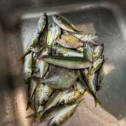 ヒメ日記 2025/10/10 06:38 投稿 川池江里奈 五十路マダムエクスプレス神戸店(カサブランカグループ)