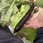 ヒメ日記 2025/10/11 10:54 投稿 川池江里奈 五十路マダムエクスプレス神戸店(カサブランカグループ)