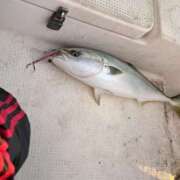 ヒメ日記 2025/12/12 21:54 投稿 川池江里奈 五十路マダムエクスプレス神戸店(カサブランカグループ)