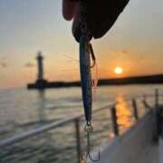 ヒメ日記 2025/12/17 11:44 投稿 川池江里奈 五十路マダムエクスプレス神戸店(カサブランカグループ)