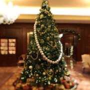 ヒメ日記 2025/12/24 16:18 投稿 安藤　ねね 未熟な人妻