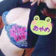 ヒメ日記 2024/12/11 09:31 投稿 あやめ カワサキ EROTIC