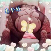 ヒメ日記 2025/01/22 12:25 投稿 あやめ カワサキ EROTIC