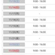 ヒメ日記 2025/11/11 11:30 投稿 あやめ カワサキ EROTIC