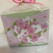 ヒメ日記 2025/03/19 16:16 投稿 れおな Number Five 品川（シンデレラグループ）