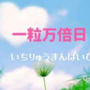 ヒメ日記 2024/12/14 10:22 投稿 さくら 松本人妻隊