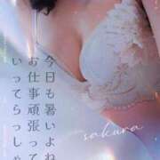 ヒメ日記 2025/08/01 07:01 投稿 さくら 松本人妻隊