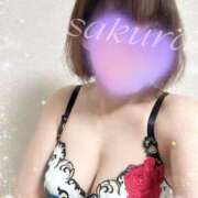 ヒメ日記 2025/09/26 13:04 投稿 さくら 松本人妻隊