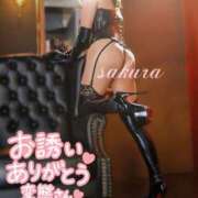 ヒメ日記 2025/11/14 21:27 投稿 さくら 松本人妻隊