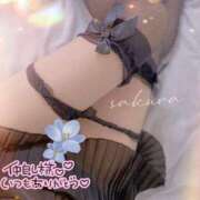 ヒメ日記 2025/11/17 22:02 投稿 さくら 松本人妻隊