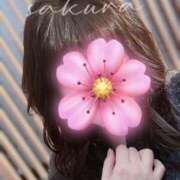 ヒメ日記 2025/11/22 15:10 投稿 さくら 松本人妻隊