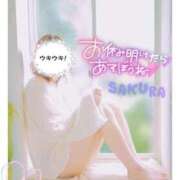 ヒメ日記 2025/11/26 11:18 投稿 さくら 松本人妻隊