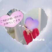 ヒメ日記 2025/11/30 10:30 投稿 さくら 松本人妻隊