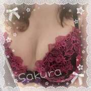 ヒメ日記 2026/02/13 12:00 投稿 さくら 松本人妻隊