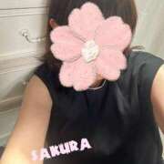 ヒメ日記 2026/09/07 08:04 投稿 さくら 松本人妻隊