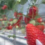 ヒメ日記 2025/02/26 19:59 投稿 ゆんな☆奇跡の世代の18歳！ JKサークル