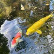 ヒメ日記 2025/09/06 07:30 投稿 ゆんな☆奇跡の世代の18歳！ JKサークル