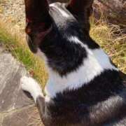 ヒメ日記 2026/03/10 02:15 投稿 ゆんな☆奇跡の世代の18歳！ JKサークル