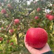 ヒメ日記 2026/03/31 21:15 投稿 ゆんな☆奇跡の世代の18歳！ JKサークル