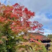 ヒメ日記 2025/11/13 11:45 投稿 たまき あげまん 西中島店