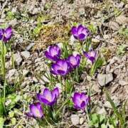 たまき 花 あげまん 西中島店