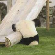 ヒメ日記 2025/08/19 23:51 投稿 かおり あげまん 西中島店