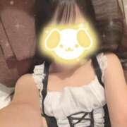 ヒメ日記 2025/04/24 09:55 投稿 花宮 すず プルプルハウス