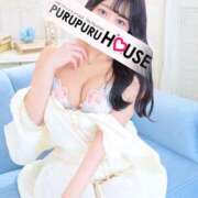 ヒメ日記 2025/04/16 15:52 投稿 高屋敷 綾 プルプルハウス