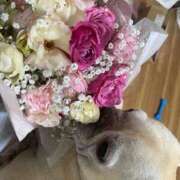 ヒメ日記 2025/04/23 16:00 投稿 弦巻 こころ プルプルハウス