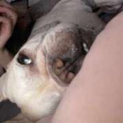 ヒメ日記 2025/11/11 17:01 投稿 弦巻 こころ プルプルハウス