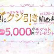 ヒメ日記 2024/05/21 09:41 投稿 鳥桜　ゆゆ プルプルハウス