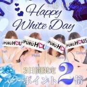 ヒメ日記 2025/03/12 12:11 投稿 鳥桜 ゆゆ プルプルハウス