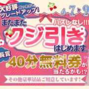 ヒメ日記 2025/04/07 11:39 投稿 鳥桜 ゆゆ プルプルハウス