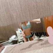 ヒメ日記 2025/05/15 14:44 投稿 鳥桜 ゆゆ プルプルハウス