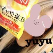 ヒメ日記 2025/05/20 10:41 投稿 鳥桜 ゆゆ プルプルハウス