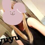 ヒメ日記 2025/05/21 09:41 投稿 鳥桜 ゆゆ プルプルハウス