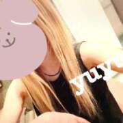 ヒメ日記 2025/08/09 12:27 投稿 鳥桜 ゆゆ プルプルハウス