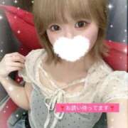 ヒメ日記 2026/07/20 11:43 投稿 かんな 秋葉原コスプレ学園in仙台